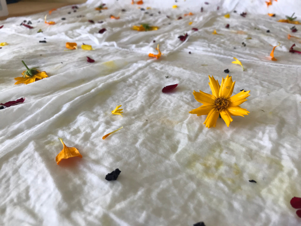 First Time Eco-Printing